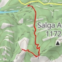 thumbnail for Grapes - Grapes