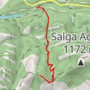 thumbnail for Gira-sols