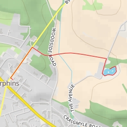 thumbnail for The Avenue - The Avenue