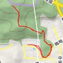 thumbnail for 大脑壳