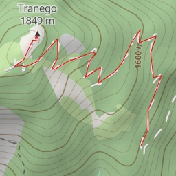 thumbnail for Tranego