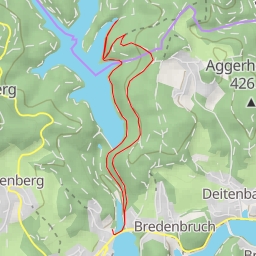thumbnail for Fichte, Rottanne - Randweg Genkelsperre