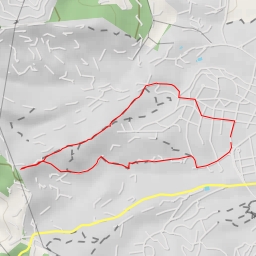 thumbnail for Camí del Bosc del Minyonet - Camí del Bosc del Minyonet