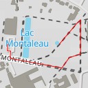 thumbnail for Rue de Montaleau