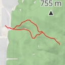 thumbnail for Ильменский заповедник