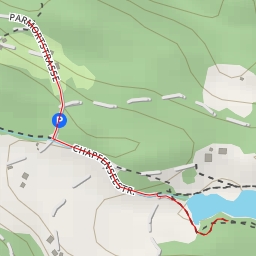 thumbnail for Chapfenseestrasse