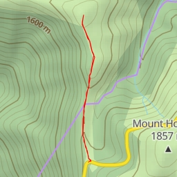 thumbnail for Razorback Track - Razorback Track