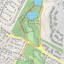 thumbnail for Duck Pond