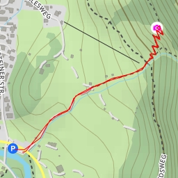 thumbnail for Bergwachtweg