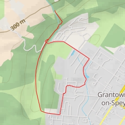 thumbnail for Seafield Avenue