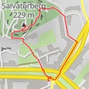 thumbnail for Salvatorberg