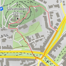 thumbnail for Salvatorberg