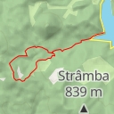 thumbnail for Pleștioara