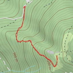 thumbnail for Quarantapan - Tecciali