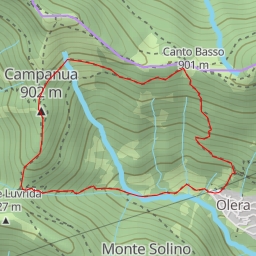 thumbnail for Campanua