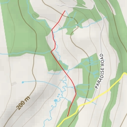 thumbnail for Paradise Road - Paradise Road