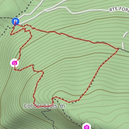 thumbnail for Route Forestière du Creux du Loup