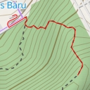 thumbnail for Hill stop with wild boar family