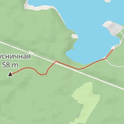 thumbnail for Брусничная