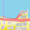 thumbnail for 中環及灣仔繞道 Central–Wan Chai Bypass - 香港島 Hong Kong Island