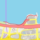 thumbnail for 中環及灣仔繞道 Central–Wan Chai Bypass - 香港島 Hong Kong Island
