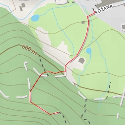 thumbnail for Różana