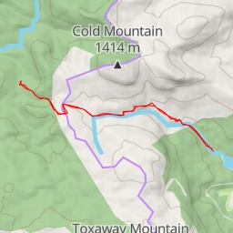 thumbnail for Little Green Trail - Little Green Trail