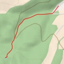 thumbnail for Les a vtáky - 3600