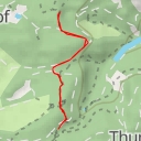 thumbnail for Selbstwachsende Brücke - Selbstwachsende Brücke