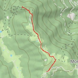 thumbnail for Belvedere Est