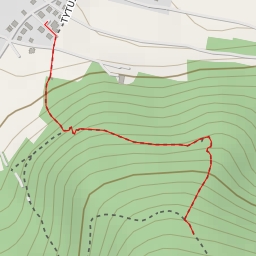 thumbnail for Skalny Grzyb