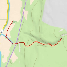 thumbnail for דבורה - 91 - מועצה אזורית גולן