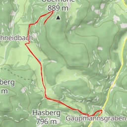 thumbnail for Wiesermauer