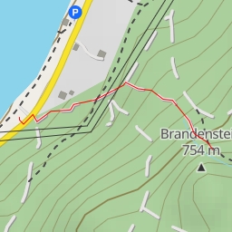 thumbnail for Brandenstein