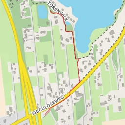 thumbnail for Torenvalk