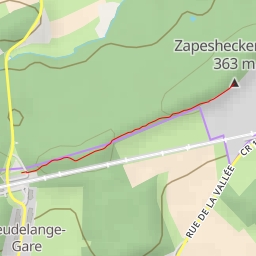 thumbnail for Zapesheckerbierg