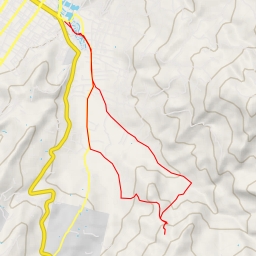 thumbnail for Alto Volador