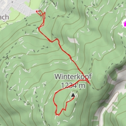 thumbnail for Winterkopf