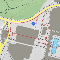 thumbnail for The Fish Pond