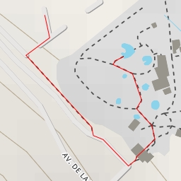 thumbnail for Tortues Serpentine et Alligator - Avenue de la Vallée Heureuse