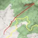 thumbnail for Grau del cirerer