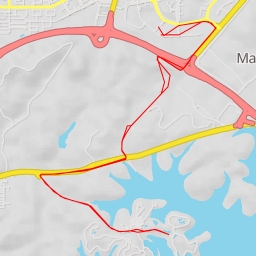 thumbnail for Polar Bear - Treetop Trail - Singapore