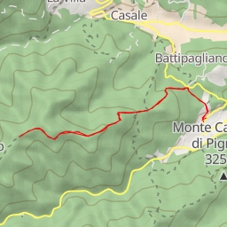 thumbnail for Monte Pinasco