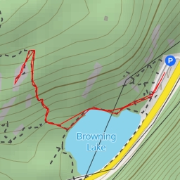 thumbnail for Quercus Lookout