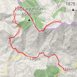 thumbnail for Los Pelaos