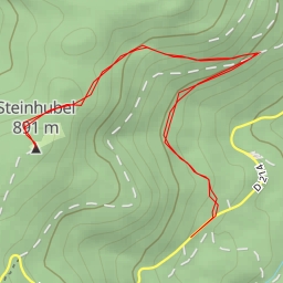 thumbnail for Steinhubel