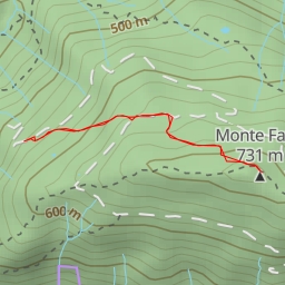 thumbnail for Monte Faeit