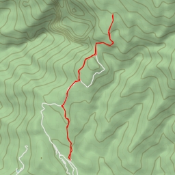 thumbnail for Orang-Utan Viewpoint