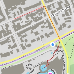 thumbnail for Chevalier gambette - Avenue Daumesnil