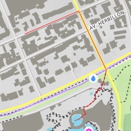 thumbnail for Avocette élégante - Avenue Daumesnil